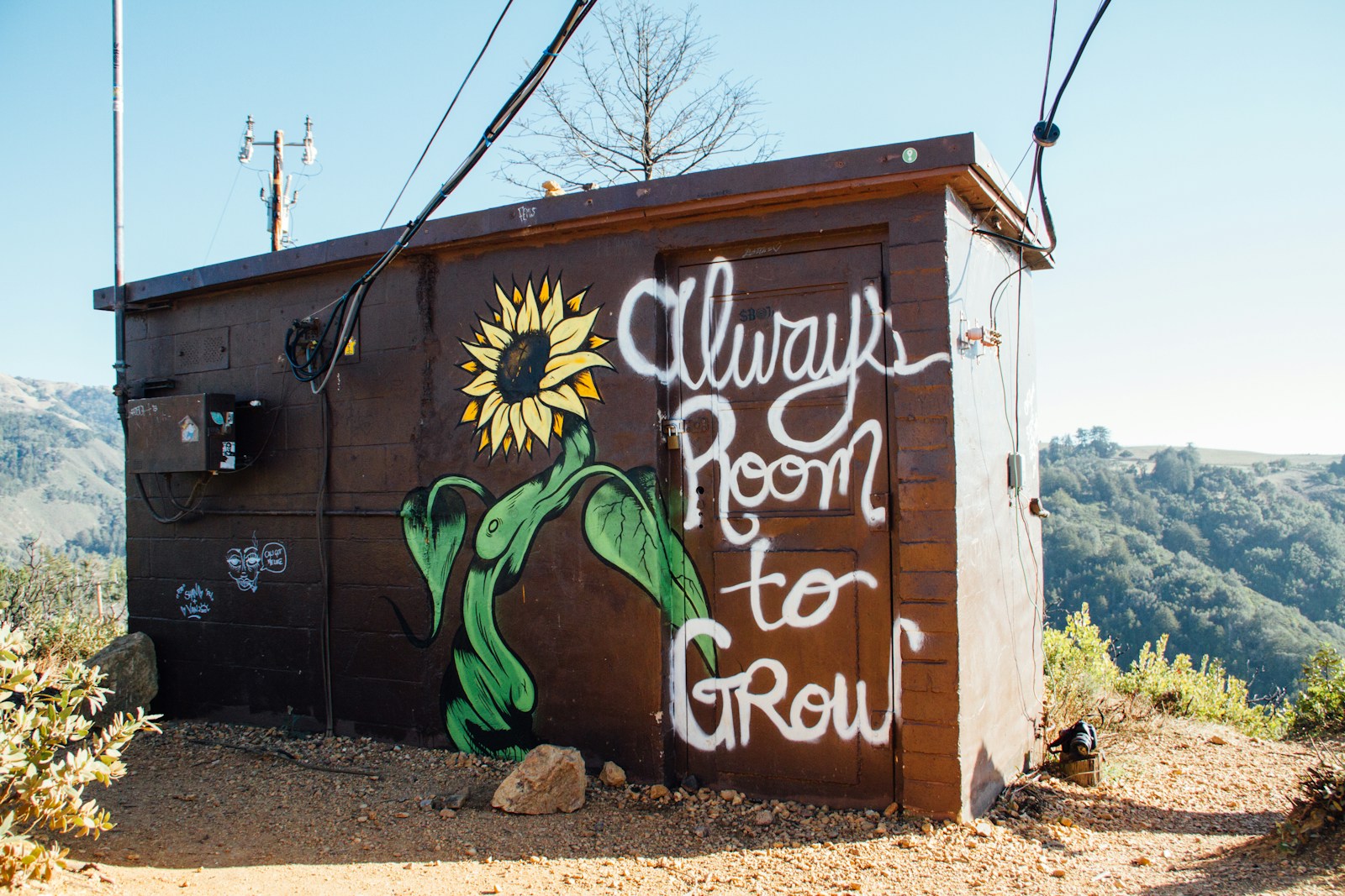 Quotes to Inspire You To Try Something New