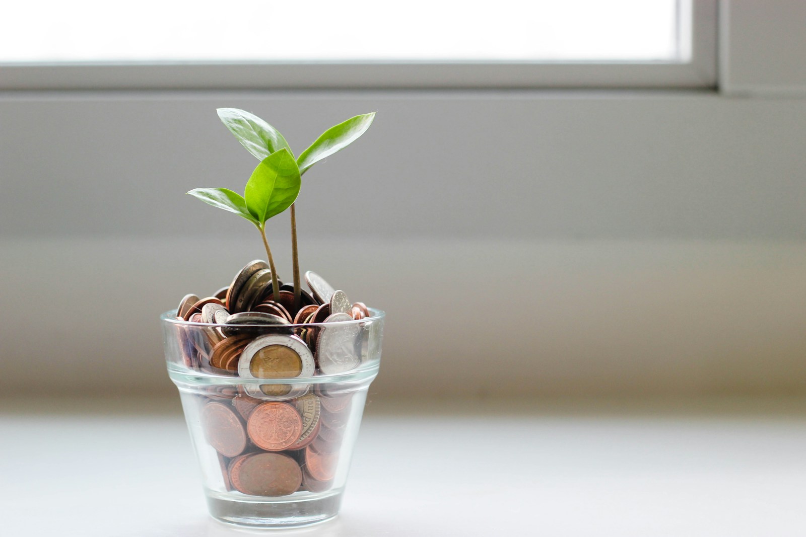 How Startups Master Financial Planning: Strategies For Sustainable Growth