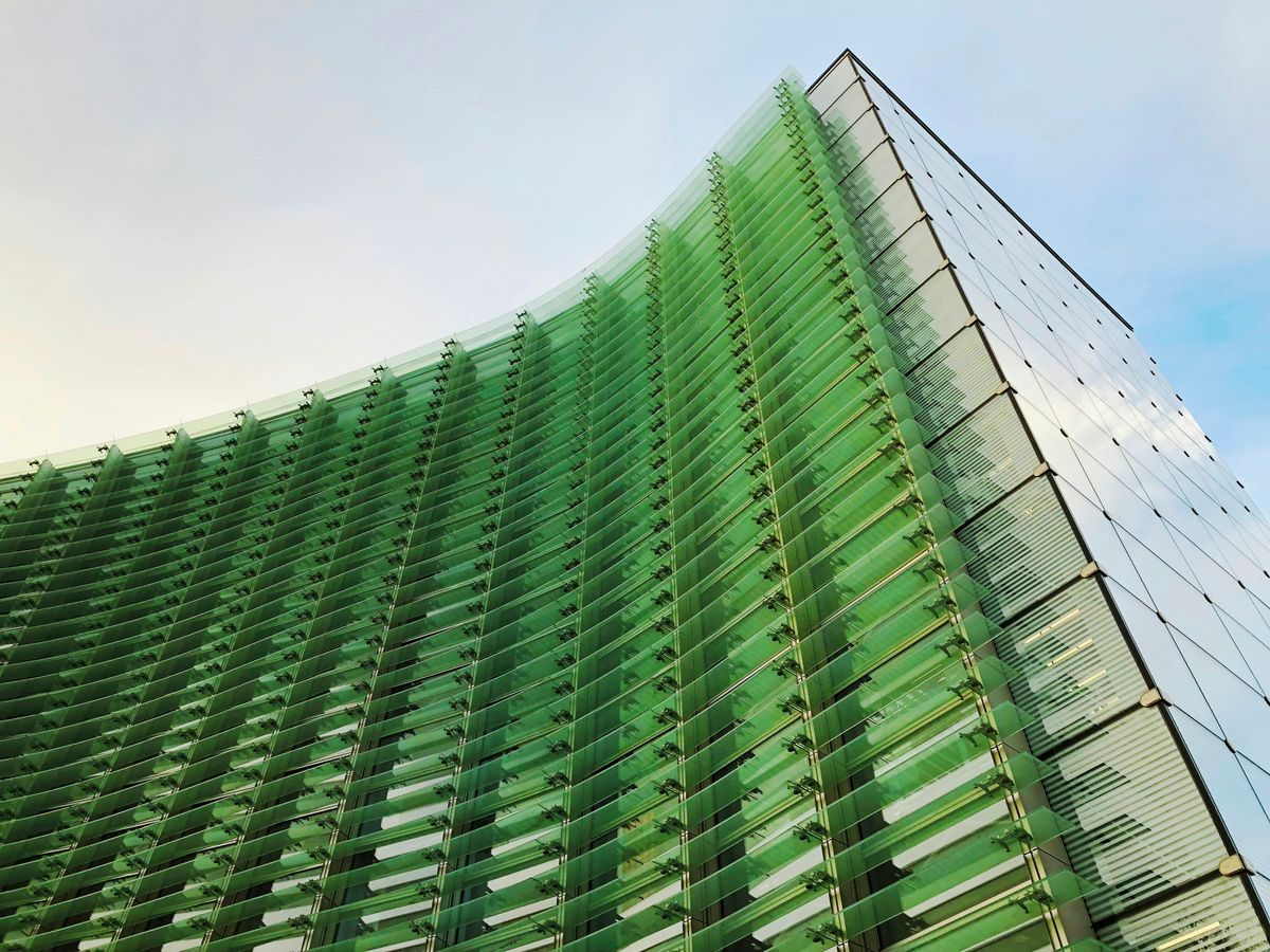 Business Address Secrets: Physical vs. Virtual Showdown