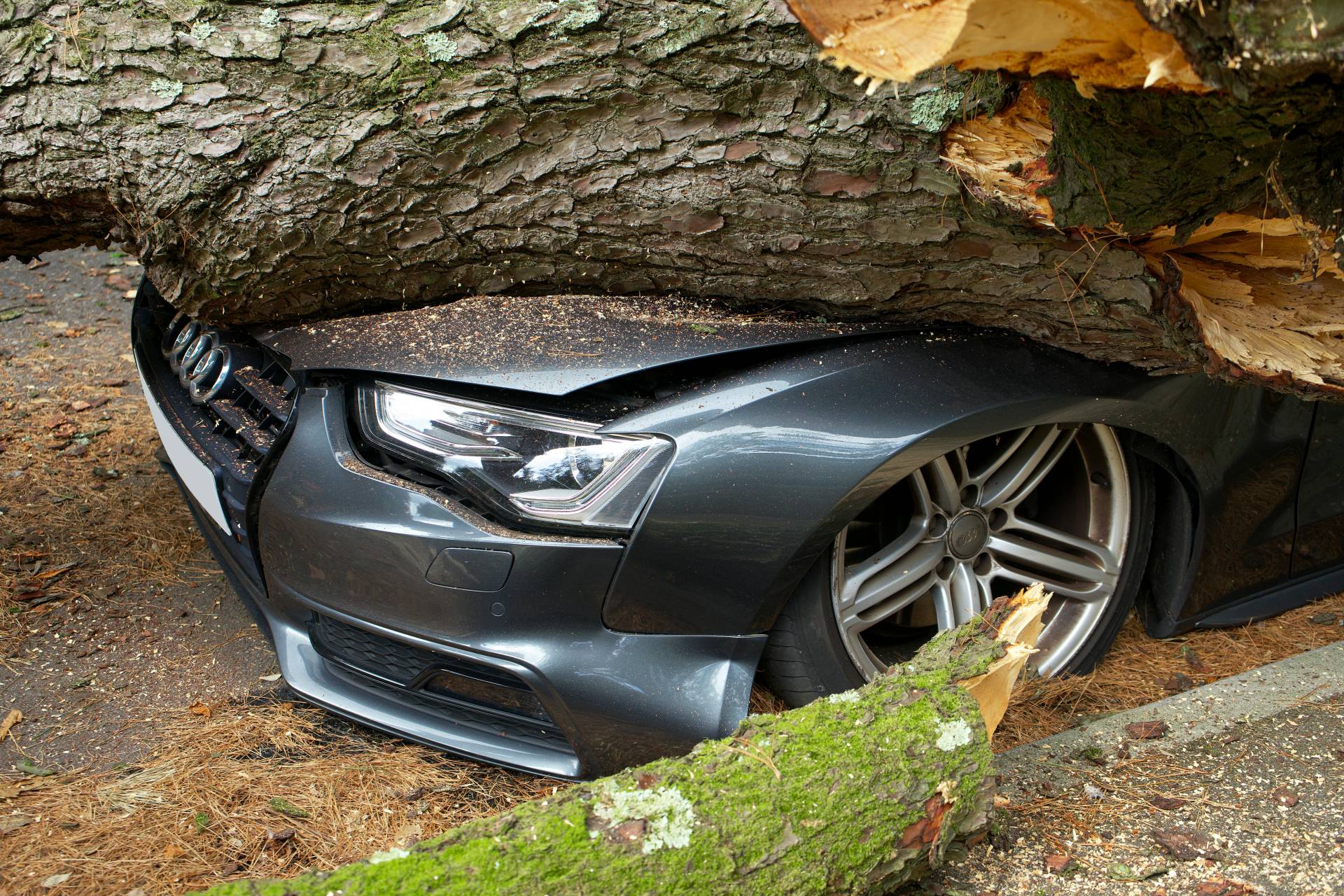 Understanding No-Fault vs. At-Fault Car Accident Laws in Alabama