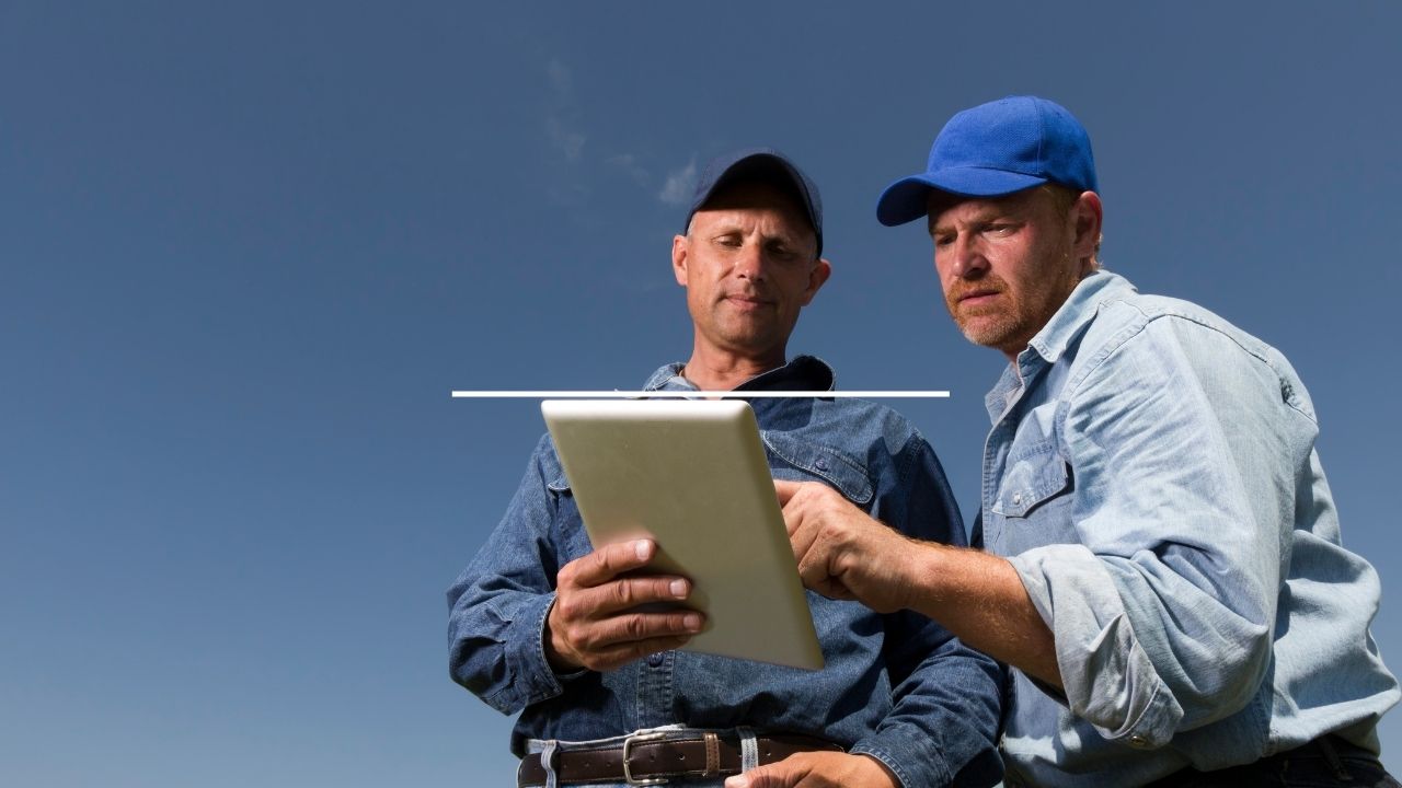 blue-collar jobs two men